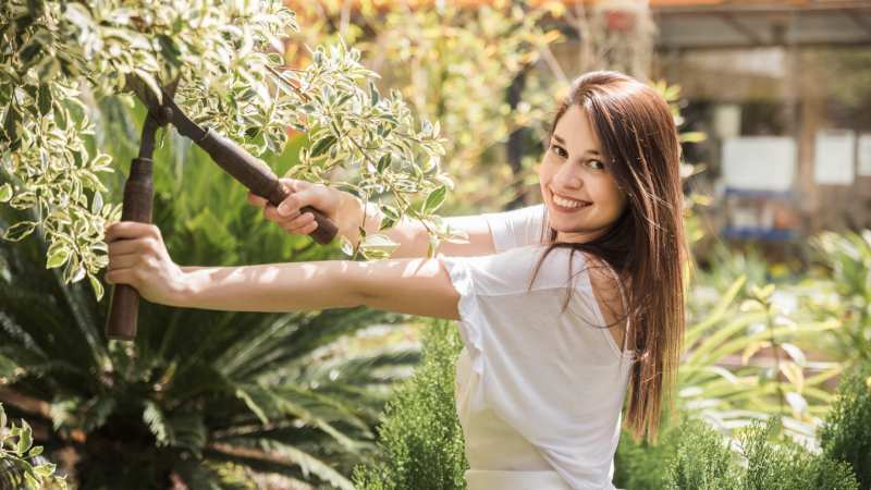 The Essential Guide to Growing and Caring for Trees