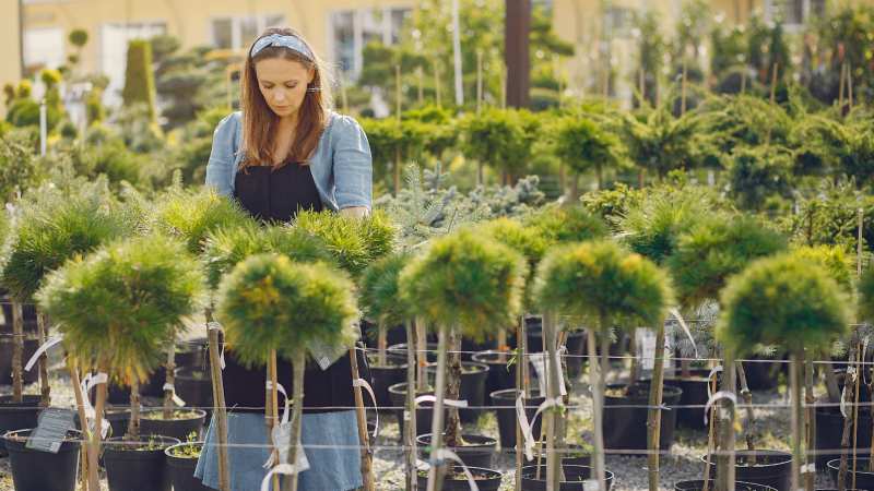 Essential Guide to Growing and Caring for Trees