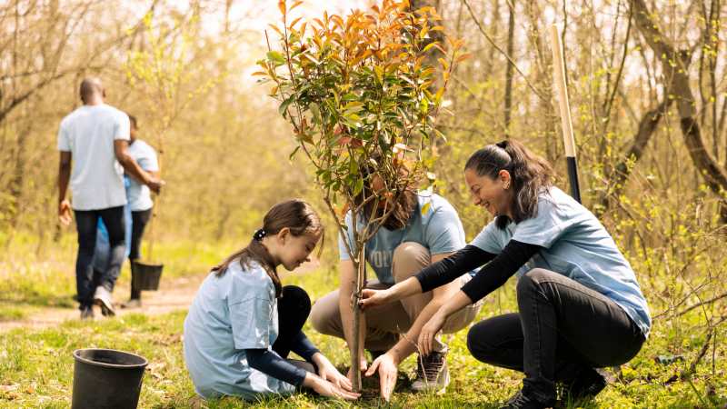 Essential Guide to Growing and Caring for Trees