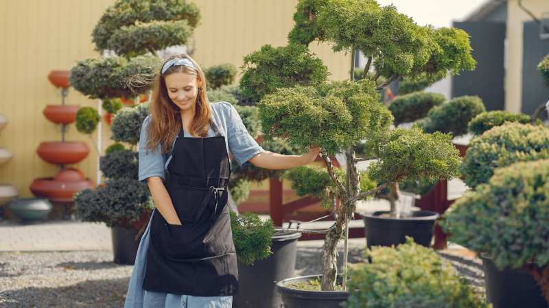 How to Plan a Landscape Design That’s Both Practical and Gorgeous